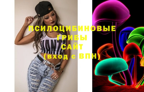МДПВ Абдулино