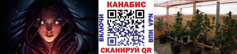 Бошки Шишки план Агидель